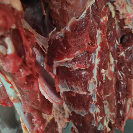 扎兰屯市全牛肉