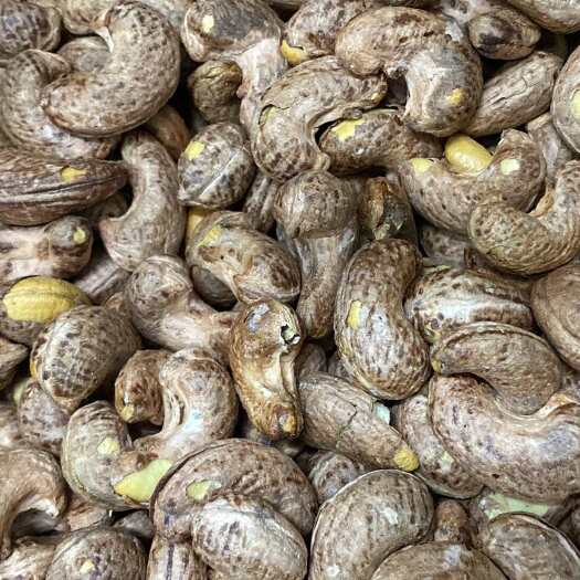 广州170熟腰果