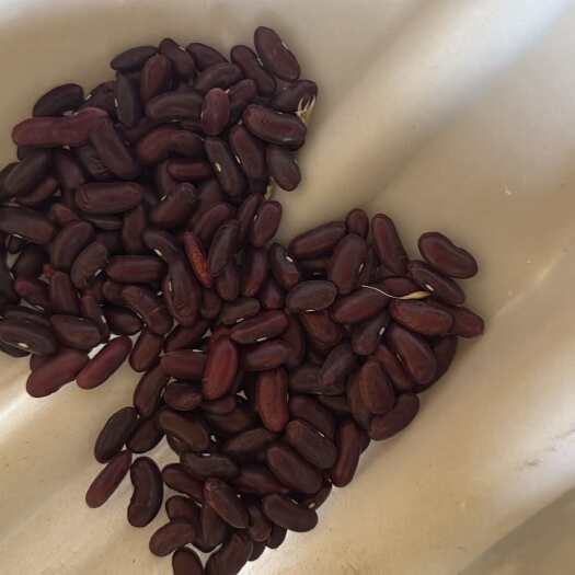 楚雄市缅甸红腰豆，筛选精品货