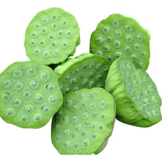 吴桥县新鲜莲蓬 河北沧州吴桥产地直发水生蔬菜批发零售鲜嫩脆甜可煲汤