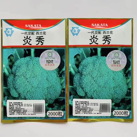 沭阳县耐热西兰花种子 炎秀耐热西兰花种子