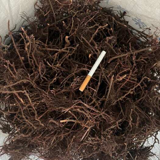 鹤壁河南产地茜草水洗统货，价格实惠一手货源