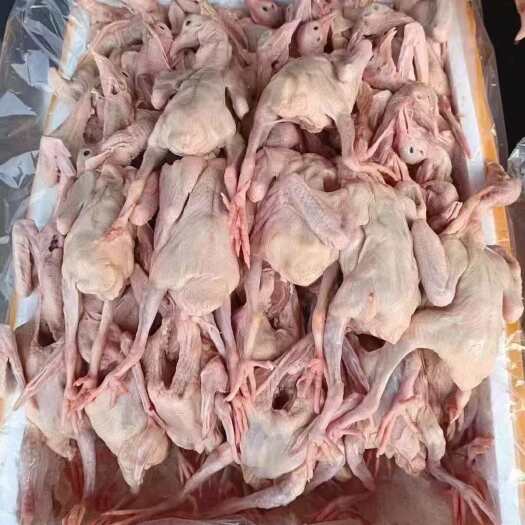 佛山新鲜脆皮乳鸽烧腊餐饮酒楼生鲜冰鲜冷冻批发商用全国发货