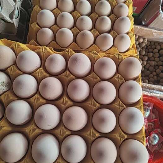 金溪县粉壳蛋