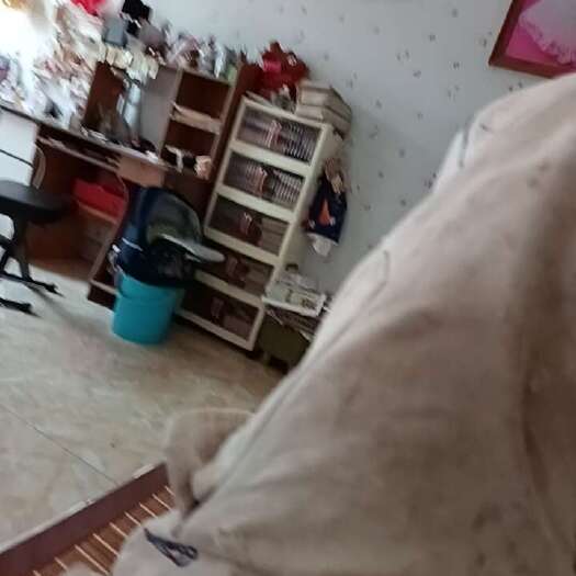 今年刚下来的小麦10万斤左右，可入库周边老板联系