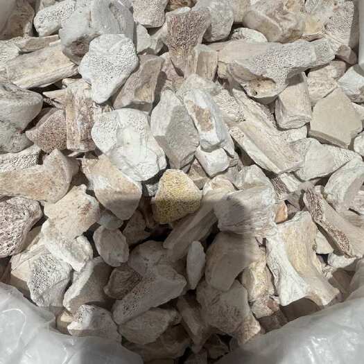 亳州亳州谯城供应中药材正品龙骨 假一赔十 品质可靠 货源稳定