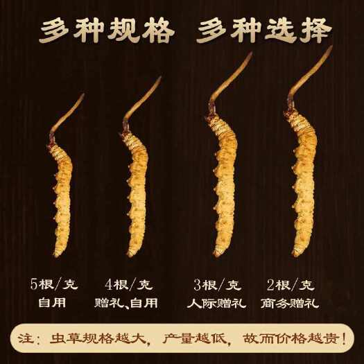西藏青海阿坝甘孜产地精选一手纯高海拔足干冬虫夏草