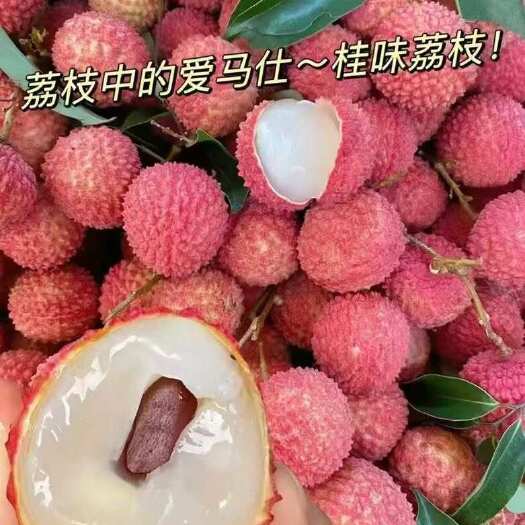 高州市广东茂名高州桂味荔枝 精品果
