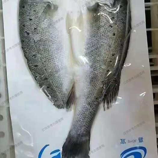 开背海鲈鱼