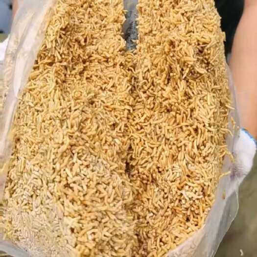 佛山蛋白虫代替饲料养殖鱼鸡鸭