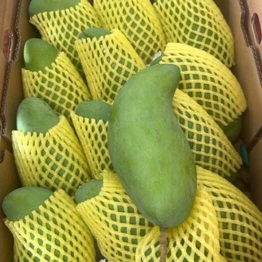 百色芒果
