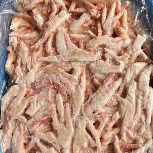 广州巴西凤爪 35+  A级 广东现货一柜