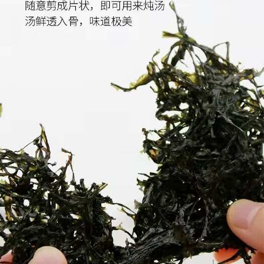 东山岛头水紫菜