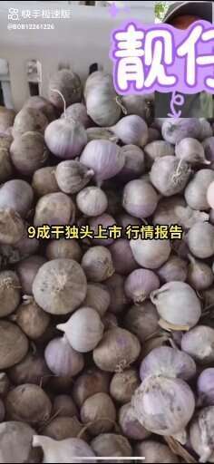 北镇市独头蒜，太空蒜