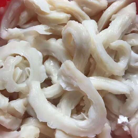 南安市鲨鱼肚
