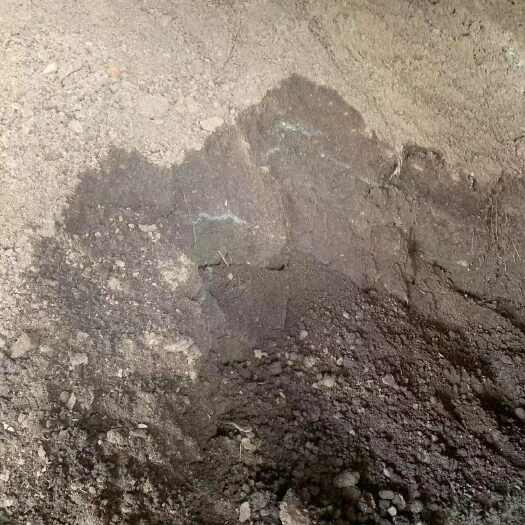 肇庆发酵鸡粪腐熟鸡粪生物有机肥无臭无异味增加肥力不烧根不烧苗