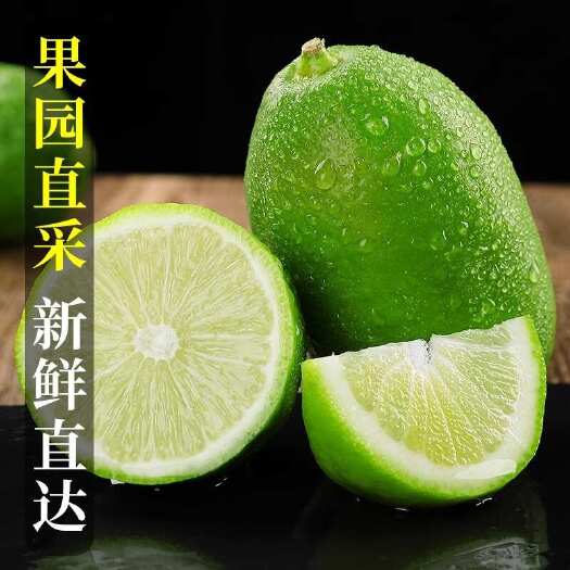 玉林新鲜子弹头香水柠檬 支持一件代发