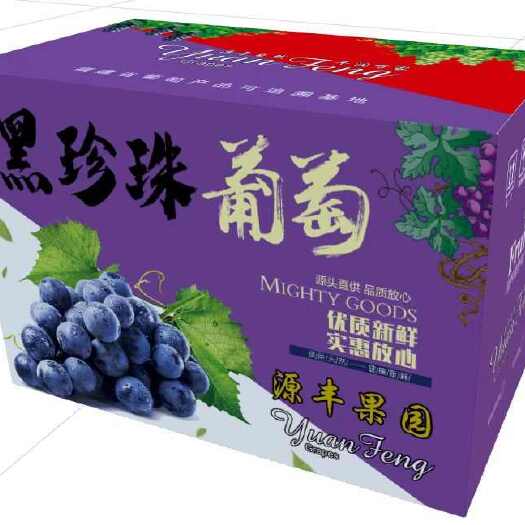 福州产地：福建省，三明市，夏黑提子葡萄批发！