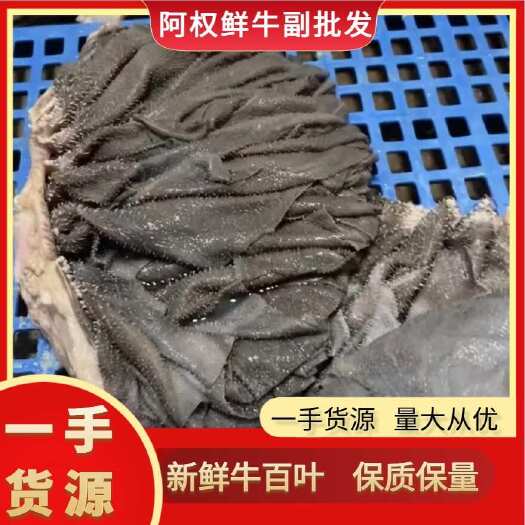 新鲜牛百叶 优质牛副产品 批发零售