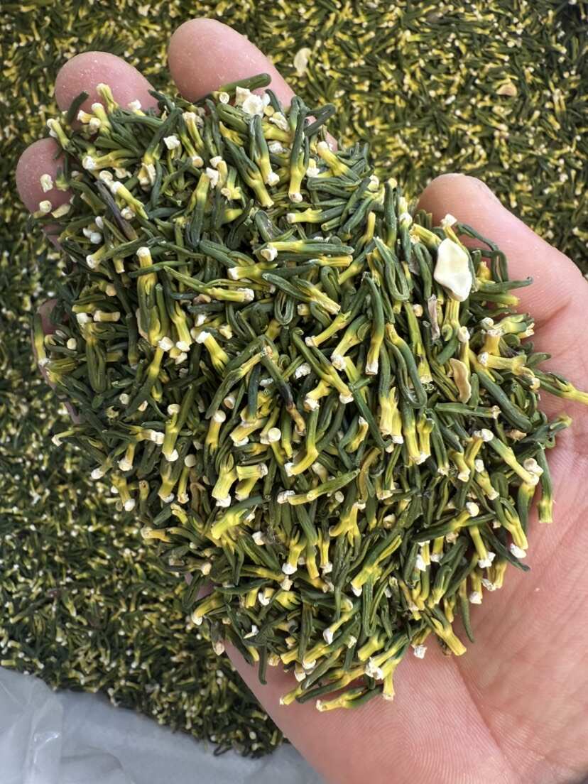 【批发联系商家】莲子芯  莲心  大货供应