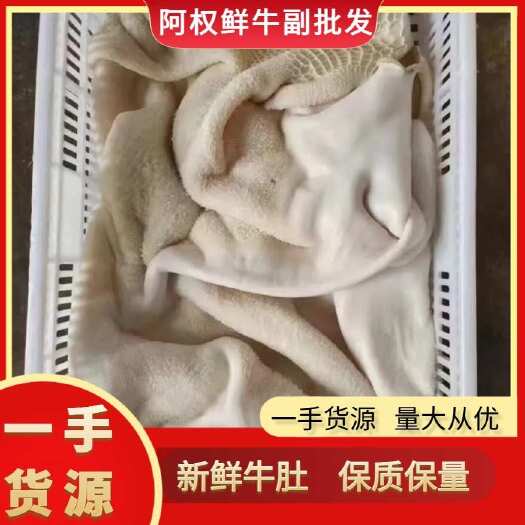 汕头牛肚 牛副产品 质量好保质 飞水白肚可以订做