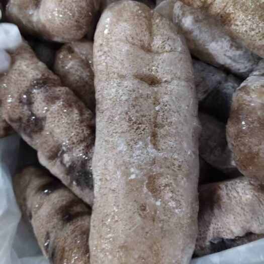 金沙参