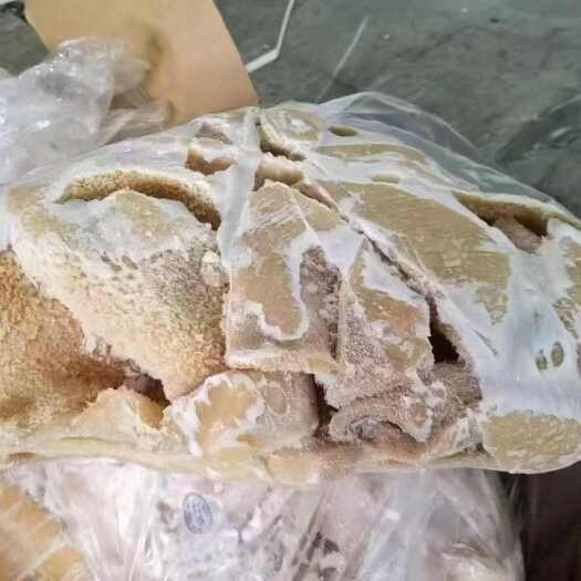 郑州A级牛肚