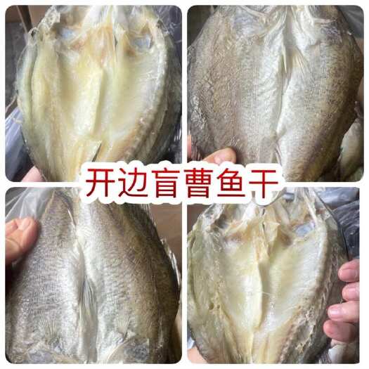 佛山开边盲曹鱼干 展会地摊电商开边盲曹鱼鲈鱼干鱼片鱼肉鱼条干鱼干