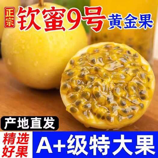 钦蜜九号黄金百香果 支持一件代发 专业对接各大平台电商