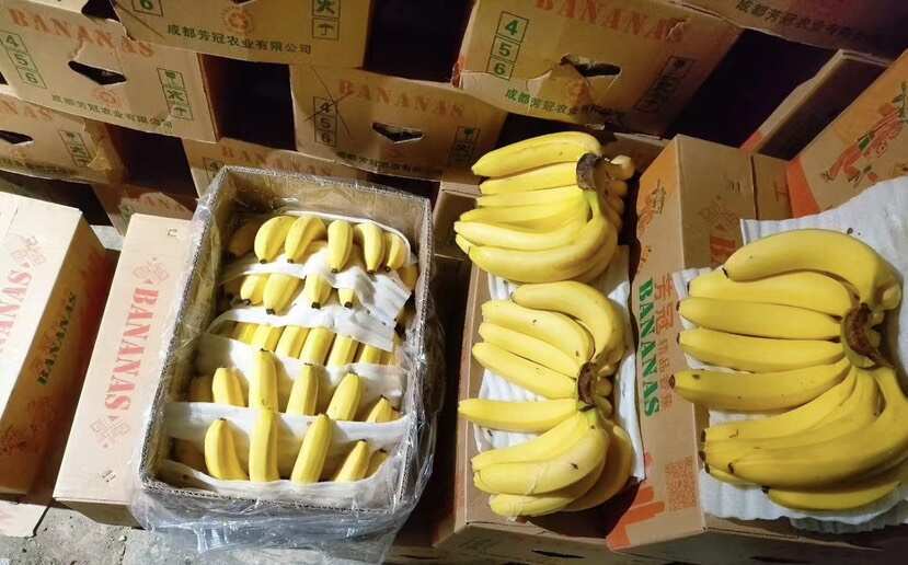 太仓市每天大量出库 2000件 一级 二级 香蕉 量大来谈