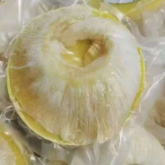 南安市金汤鱼翅