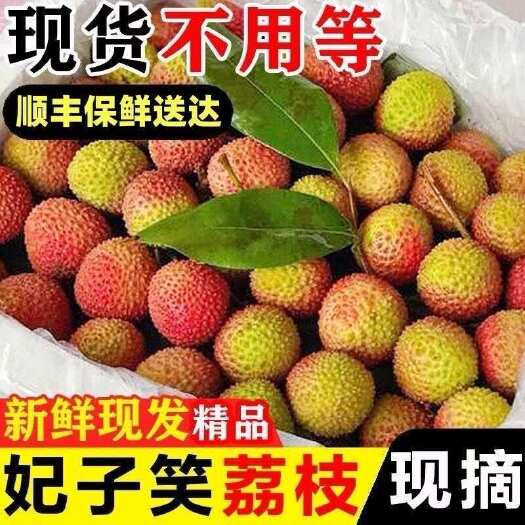 一骑红尘妃子笑【顺丰冷链】妃子笑荔枝特大果新鲜水果 一件代发