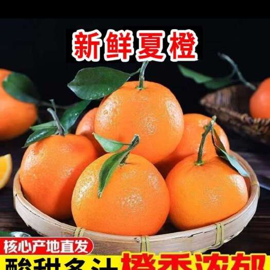 公安县5斤湖北夏橙当季新鲜橙子薄皮酸甜多汁应季水果榨汁鲜橙一整箱
