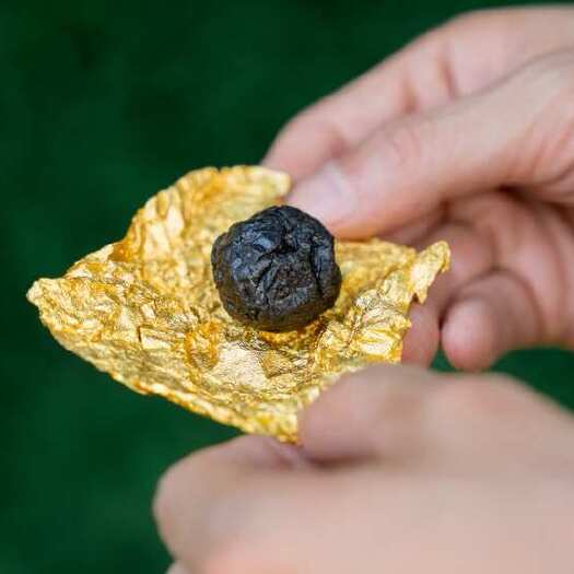 光泽县九蒸九晒黄精芝麻丸
