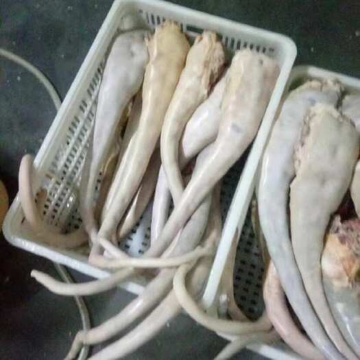 精品牛尾去油干净 品质量大从优
