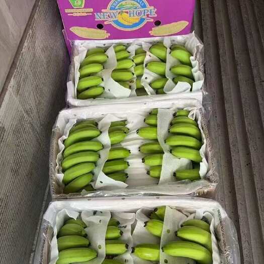 太仓市菲律宾精品青蕉～净重27斤，毛重30斤，规模4-5-6把