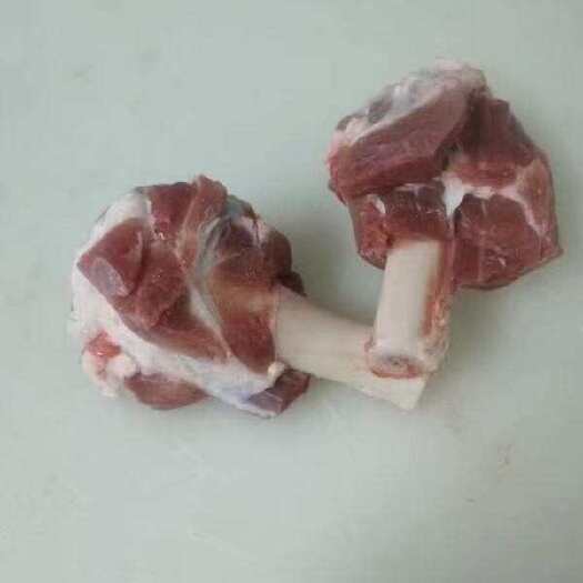 郑州羊骨