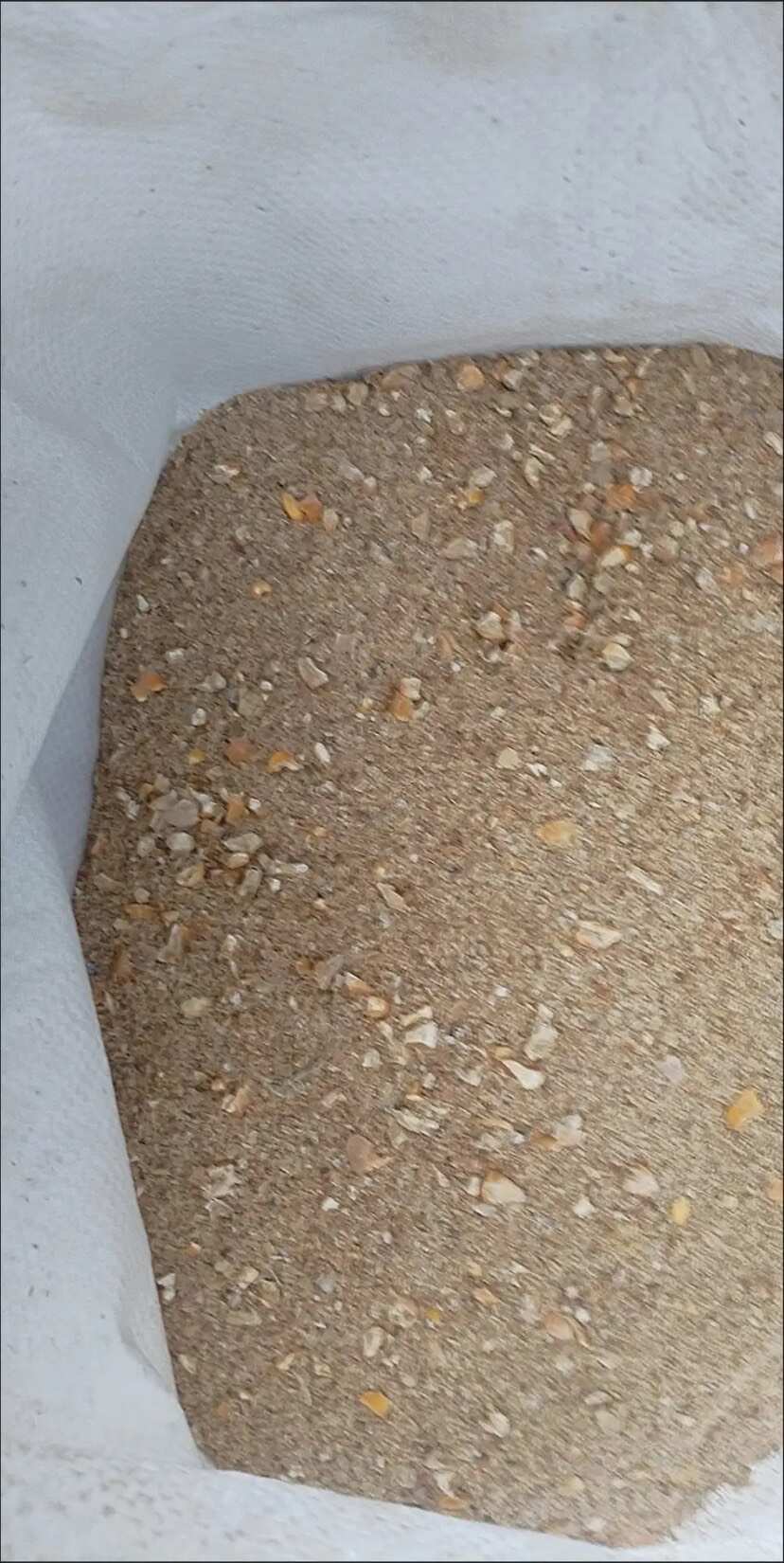 100斤包邮鸡饲料鸡鸭鹅通用配合饲料碎玉米纯粮饲料