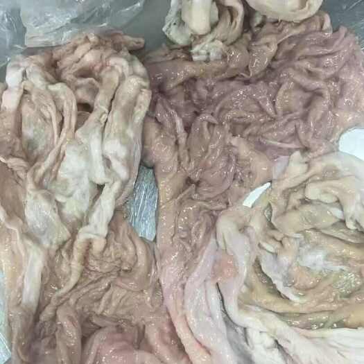 呼和浩特羊小肚 羊散袋