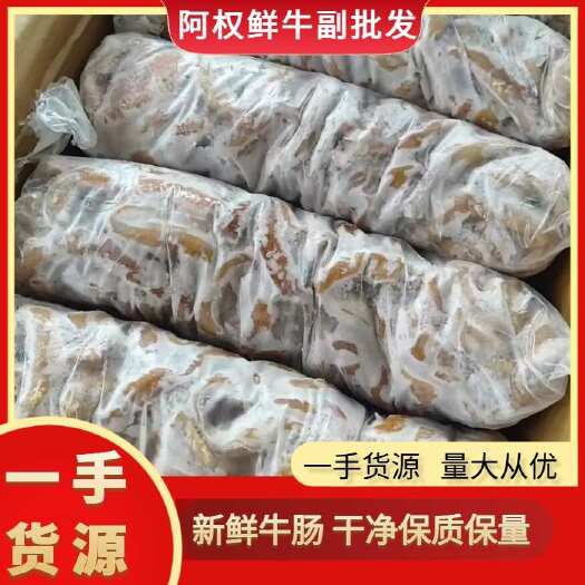 汕头飞水牛肠 多油少油可选牛小肠熟度 牛肠新鲜干净
