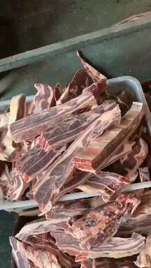 阳信县牛肋排  满肉瘦牛排 4+5肋瘦牛排 质量稳定  好货