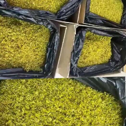 石斛花干花茶养生茶铁皮批发新花泡茶正品石斛花新