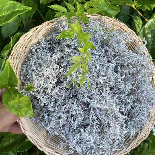 永顺县湘西永顺莓茶张家界莓茶恩施藤茶龙须茶芽茶古莓茶之乡产地莓茶