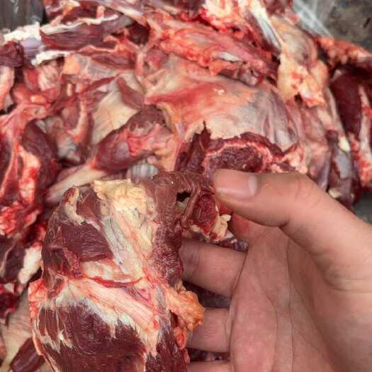 阳信县山东阳信原切国产小脸肉，纯干