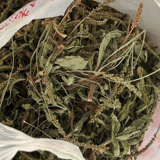 河南产车前草，干净，颜色好，今年新货！