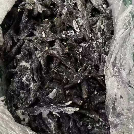 深圳鲜冻长乌鸡脚黑鸡脚 每月固定有量 适合加工厂 欢迎洽谈