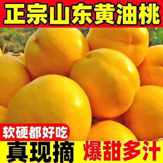 蒙阴县电商平台一件代发 大黄桃黄金蜜桃纯甜黄油桃
