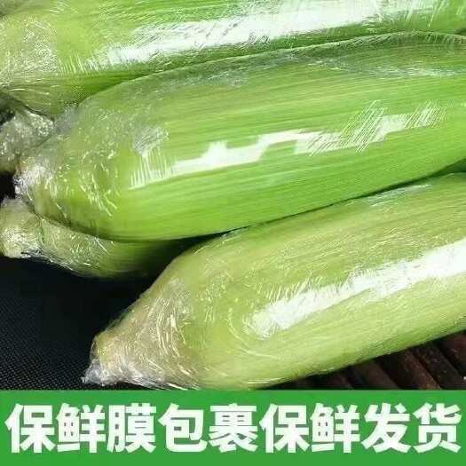金堂县四川优质甜玉米大量上市