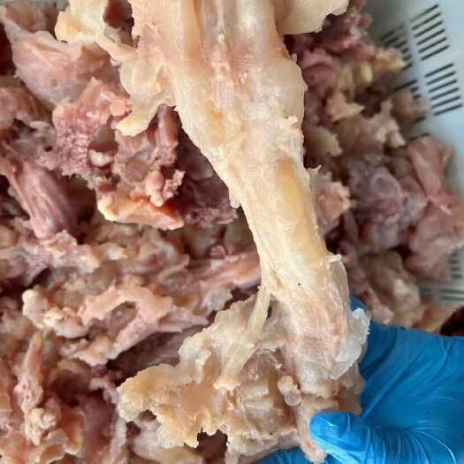 阳信县去皮熟牛副筋 大公牛牛蹄副筋
