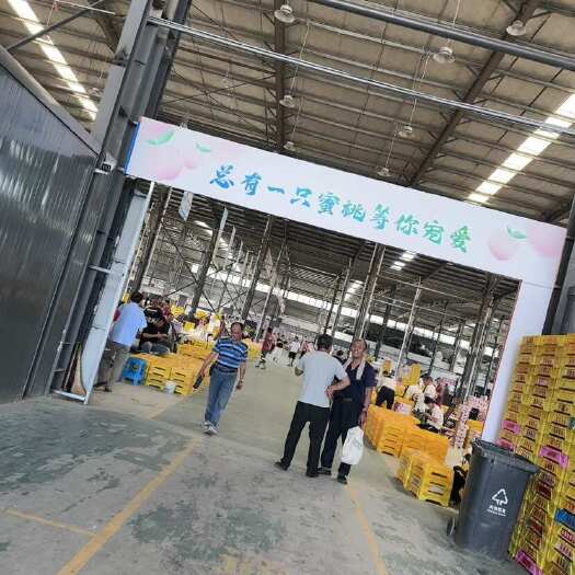 苏州无锡水蜜桃，优质供应链，支持电商一件代发。